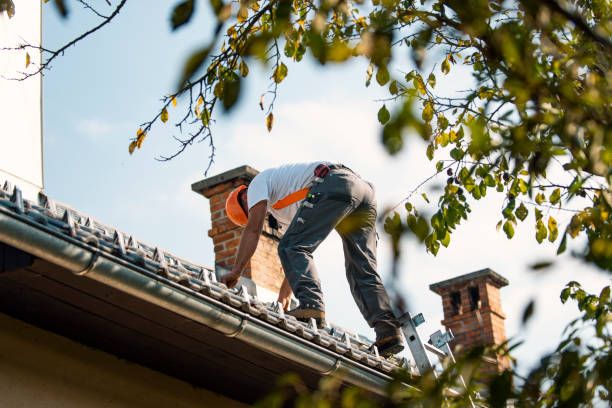 Professional Roofing Contractor in Lawrenceburg, TN